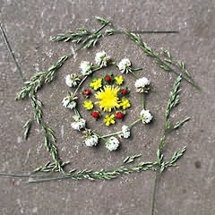 Flores amarelas e brancas e caules com folhas verdes dispostos em círculos concêntricos e pentágono