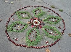Castanhas, caules verdes e algumas folhas avermelhadas em círculos concêntricos