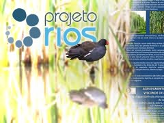 (Montagem) Galinha d'água junto a canaviais, logótipo «Projeto Rios» à esquerda e cartazes azuis à direita