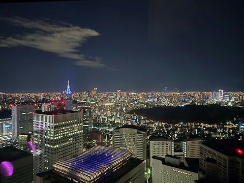 Vista panor&acirc;mica noturna de uma grande cidade, com muitos edif&iacute;cios iluminados e um parque escuro